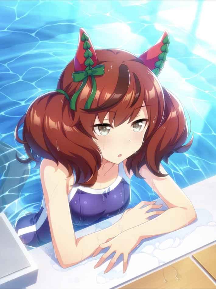 나이스 네이처 ナイスネイチャ