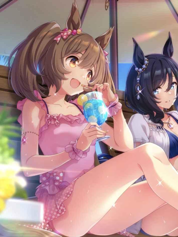 스마트 팔콘 スマートファルコン